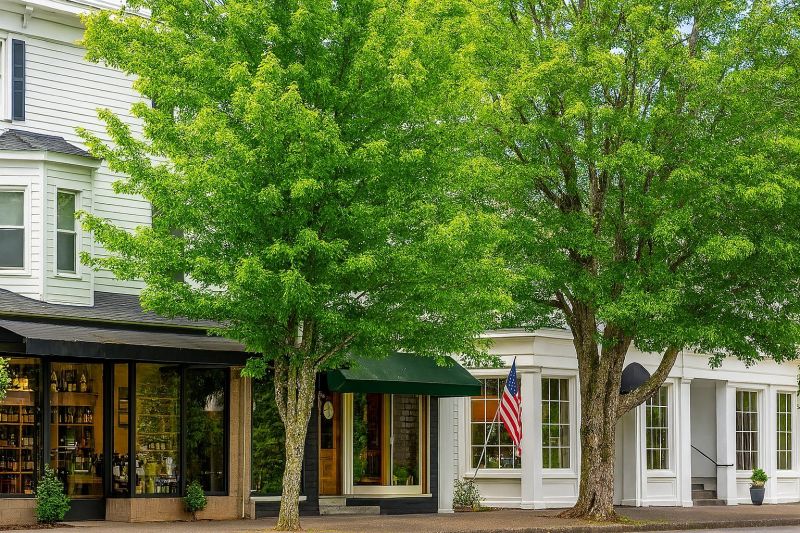 Best Shower Remodeling pros in Ridgefield, WA