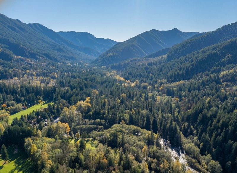 Best Tub To Shower Conversion pros in Woodland, WA
