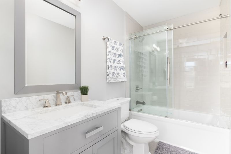 Top Tub To Shower Conversion Companies in Camas, WA